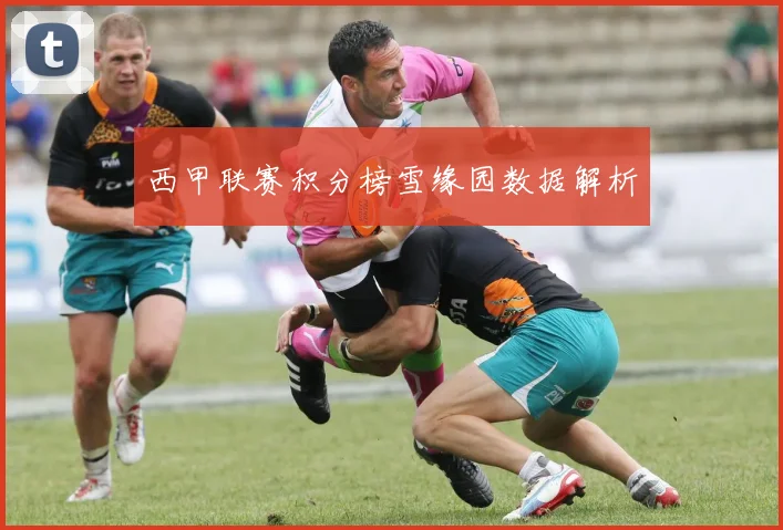 西甲联赛积分榜雪缘园数据解析